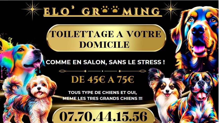 Elo' Grooming